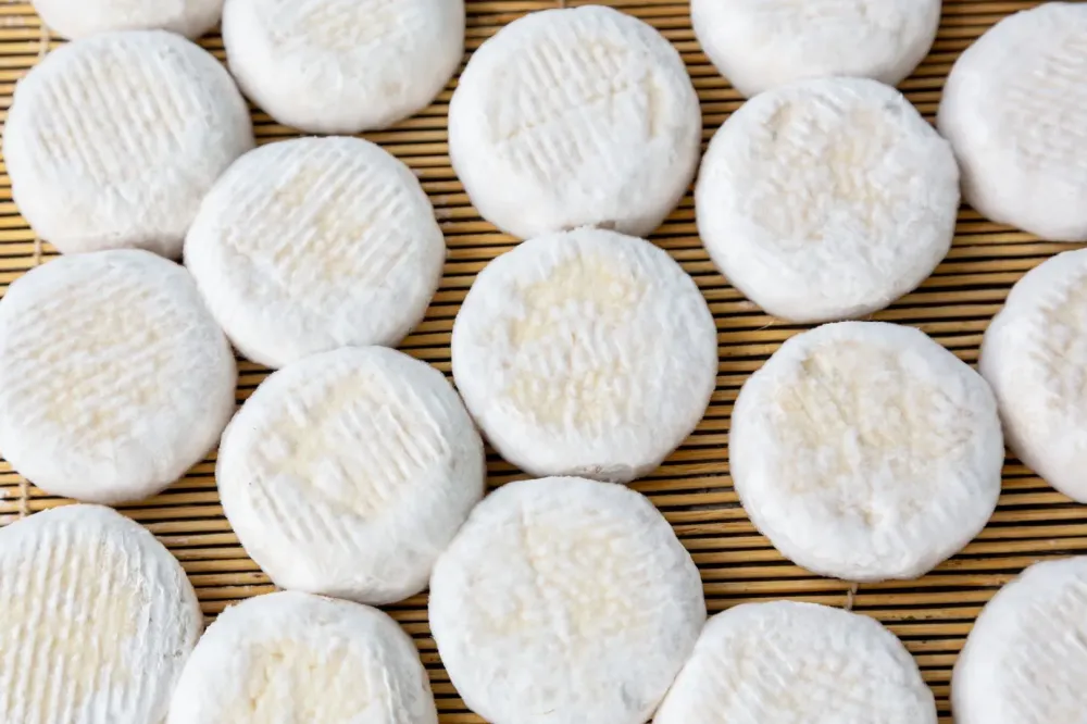 Fromage de chèvre en gros à Treigny-Perreuse-Sainte-Colombe